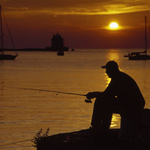 martin__west is swapping clothes online from 