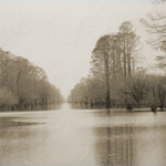 Meshellee is swapping clothes online from 