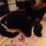 medicjmd1 is swapping clothes online from 