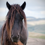 Barefoot Becca  is swapping clothes online from Centerville , Tennessee 