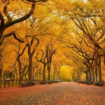 Nomee is swapping clothes online from MD