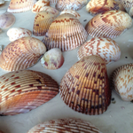 claycenterks is swapping clothes online from 