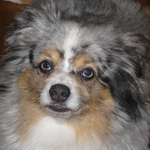 eileen is swapping clothes online from 