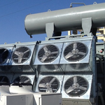 Neeltran is swapping clothes online from New Milford, CT