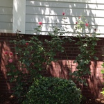 kat is swapping clothes online from 