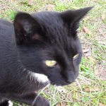 sharecare20 is swapping clothes online from apopka, Florida