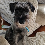 imsecretlyabird is swapping clothes online from 