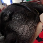 janetb1970 is swapping clothes online from AFFTON, MO