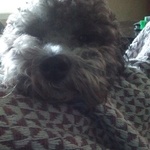 jennyyoung is swapping clothes online from DOVER, TN