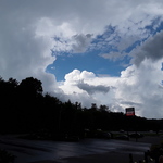 organic1 is swapping clothes online from HARRIMAN, TN