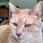 cheryl77 is swapping clothes online from 