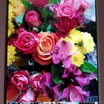 marinabythesea is swapping clothes online from 