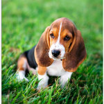 pamb is swapping clothes online from 