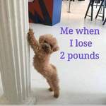 gizz is swapping clothes online from LOUISVILLE, KY