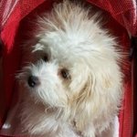 sunshine772 is swapping clothes online from YUCAIPA, CA