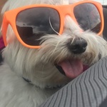 denise12345 is swapping clothes online from 