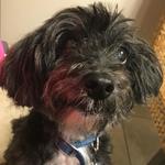 sabrinaaa is swapping clothes online from 