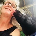 alura is swapping clothes online from 