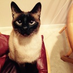 yardsaler1 is swapping clothes online from 
