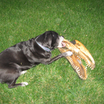 whakers is swapping clothes online from 