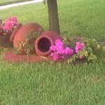 medici is swapping clothes online from 