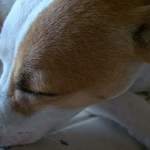 liv is swapping clothes online from NOTTINGHAM, ENGLAND