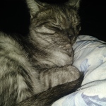 archaicinsane is swapping clothes online from ALBUQUERQUE, NM