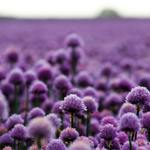 averie22 is swapping clothes online from 