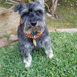 beachgirl34 is swapping clothes online from LAGUNA NIGUEL, CA