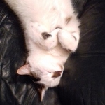 meli0601 is swapping clothes online from LAKE CITY, MI