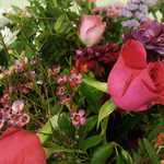 Ashlyn is swapping clothes online from 