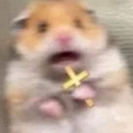 doobiewoobie is swapping clothes online from GIBSONBURG, OH