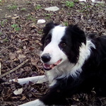 alabaster49 is swapping clothes online from JERMYN, PA