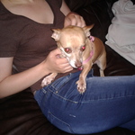 Court is swapping clothes online from POWELL, TN