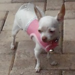 mordinary is swapping clothes online from 