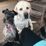 patty0048 is swapping clothes online from 