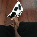 plumtable265 is swapping clothes online from HAMPTON, GA