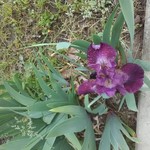 scb is swapping clothes online from YERINGTON, NV