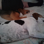 Char Ham is swapping clothes online from POMONA, CA