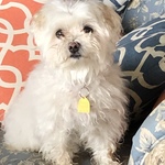 janetaunt is swapping clothes online from HAYES, VA