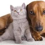 Keena Marie Crowell is swapping clothes online from 