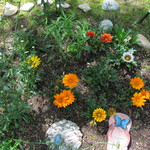 milly is swapping clothes online from 