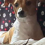 Laura L Collins is swapping clothes online from 