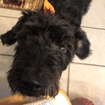 bpettit33 is swapping clothes online from LUBBOCK, TX