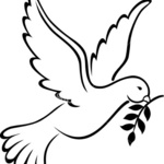 lucyguz is swapping clothes online from QUEENS VILLAGE, NY