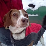 queenmama is swapping clothes online from FRIDAY HARBOR, WA