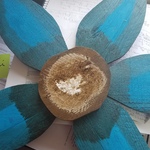 redgirl05 is swapping clothes online from 