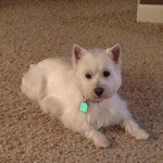 mickib is swapping clothes online from 