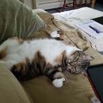 roxy1962 is swapping clothes online from CORNWALL BRIDGE, CT