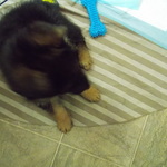 aboutjake44 is swapping clothes online from 